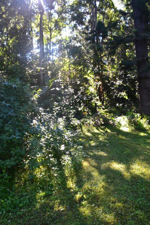 Hotel Tuckers Retreat Canungra Exterior foto